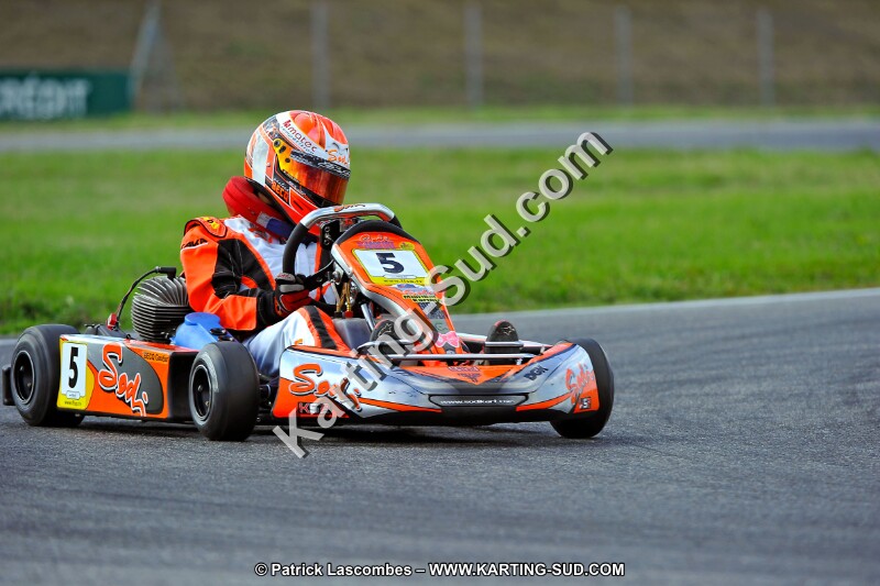 DSC_ (799).jpg